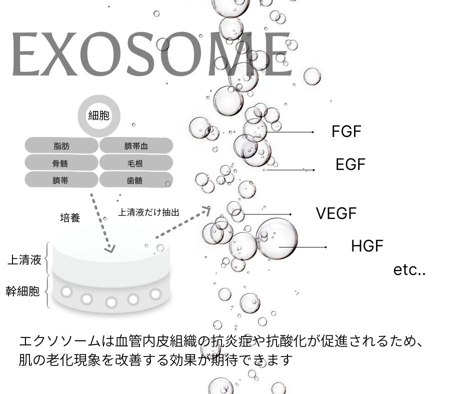 エクソソーム効果 